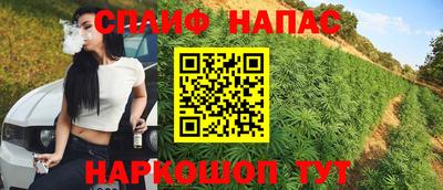 индика Будённовск