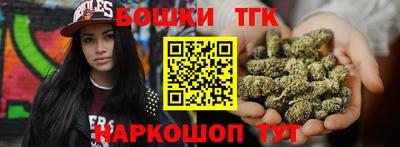 индика Будённовск