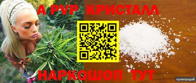 индика Будённовск