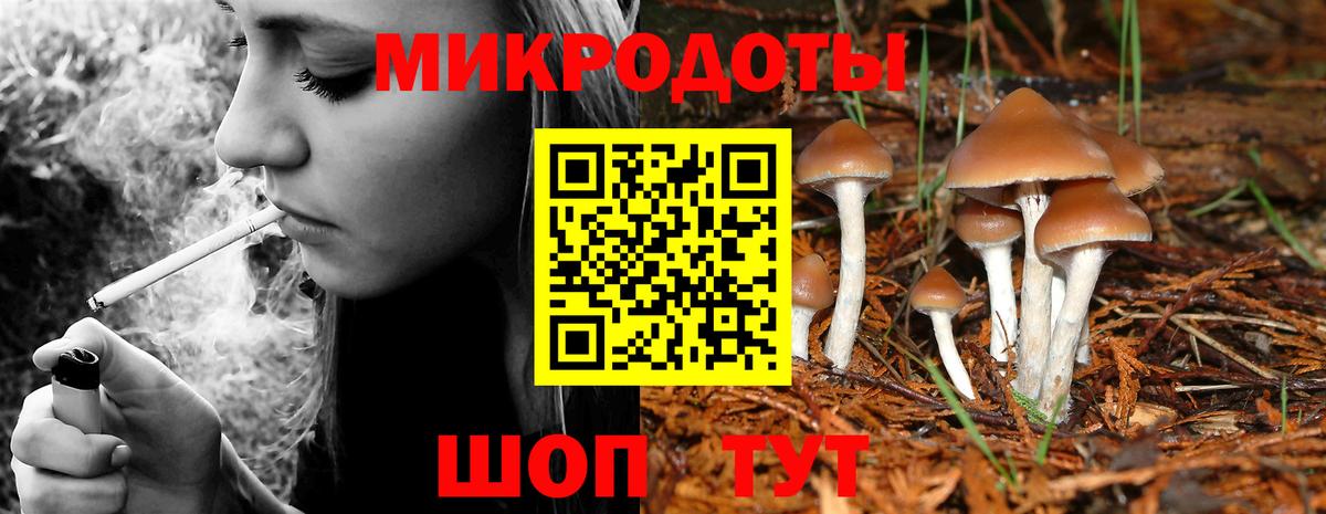 где можно купить наркотик  Галлюциногенные грибы мицелий  Вход с VPN  Шатура 
